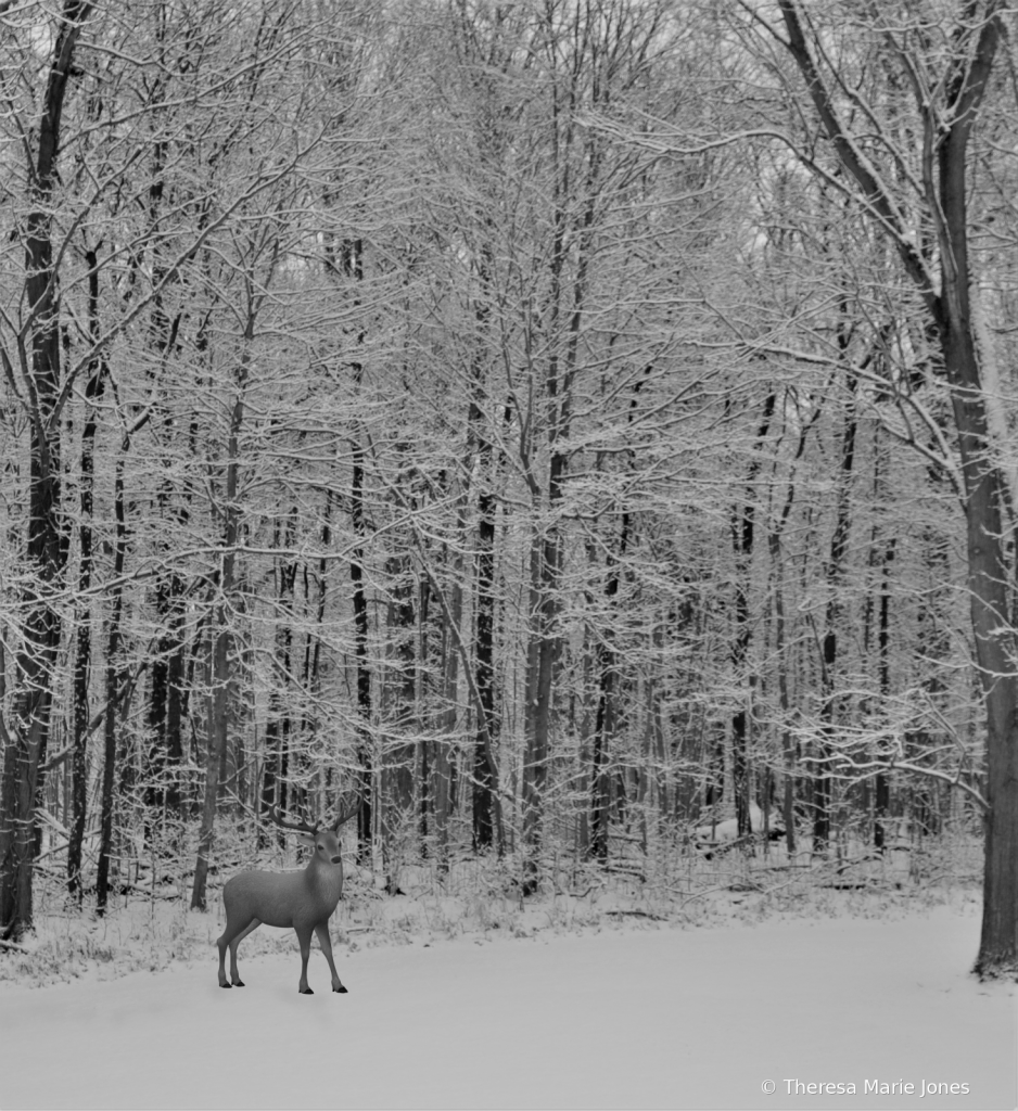 Deer in the Snow - ID: 15879563 © Theresa Marie Jones
