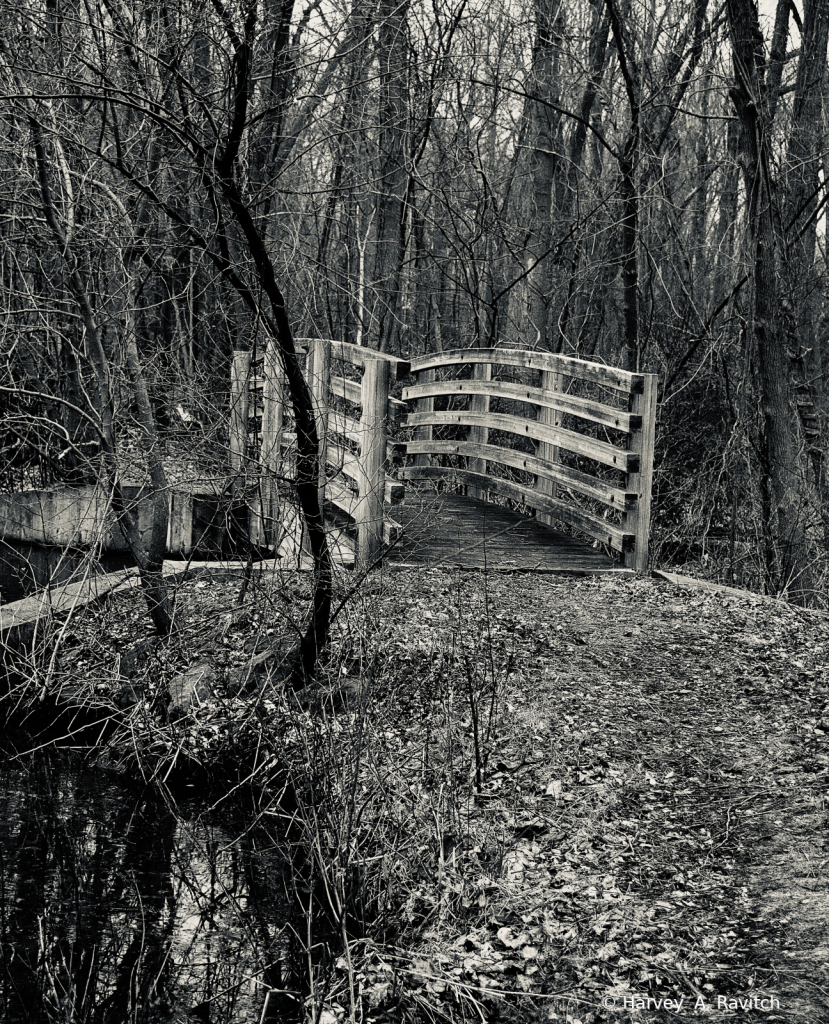 “ Bridge Over Trouble Waters “