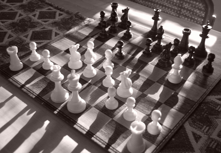 Chess Shadows