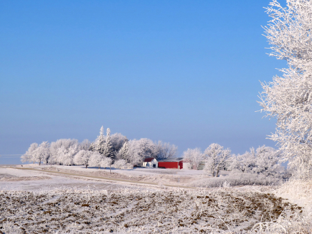 Snowy Farmland