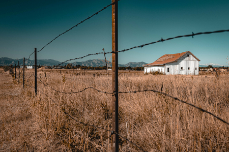 Wire fence