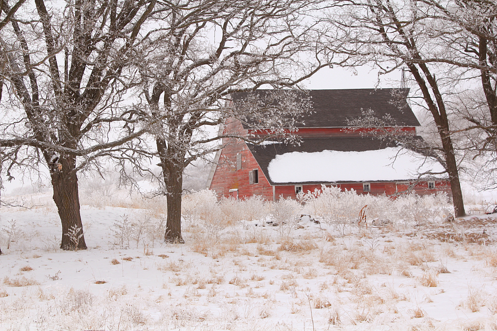 Red Barn in the Snow and Frost