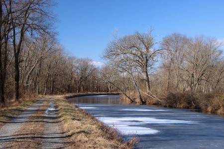 Winter Along the Canal