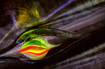 Embryo of Light  ...