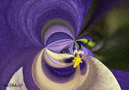 Purple Passion Abstract