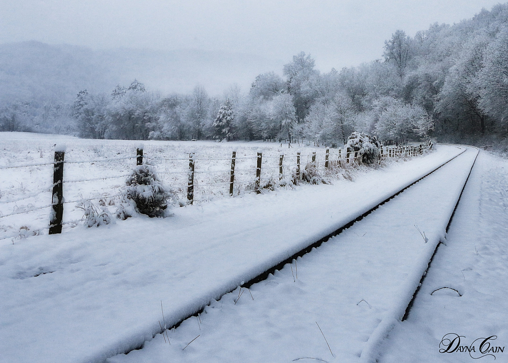 Tracks In The Snow