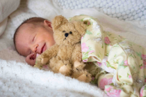 January 2021 Photo Contest 2nd Place Prize Winner
