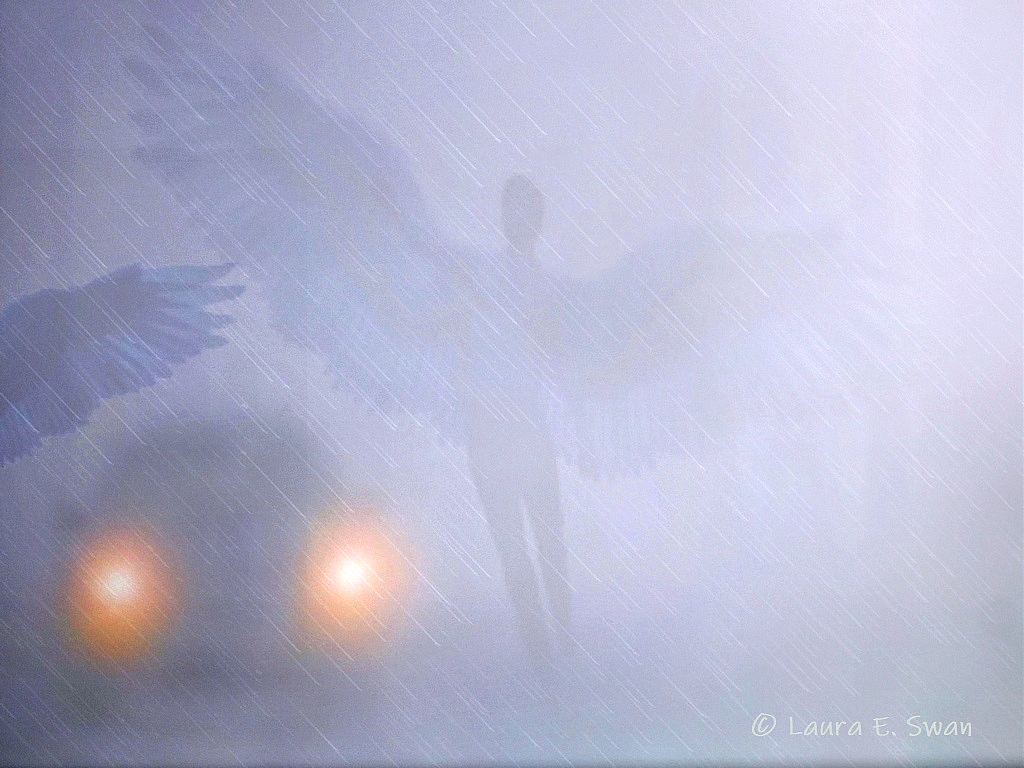 img8