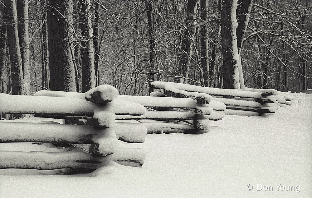 Snowy Fence