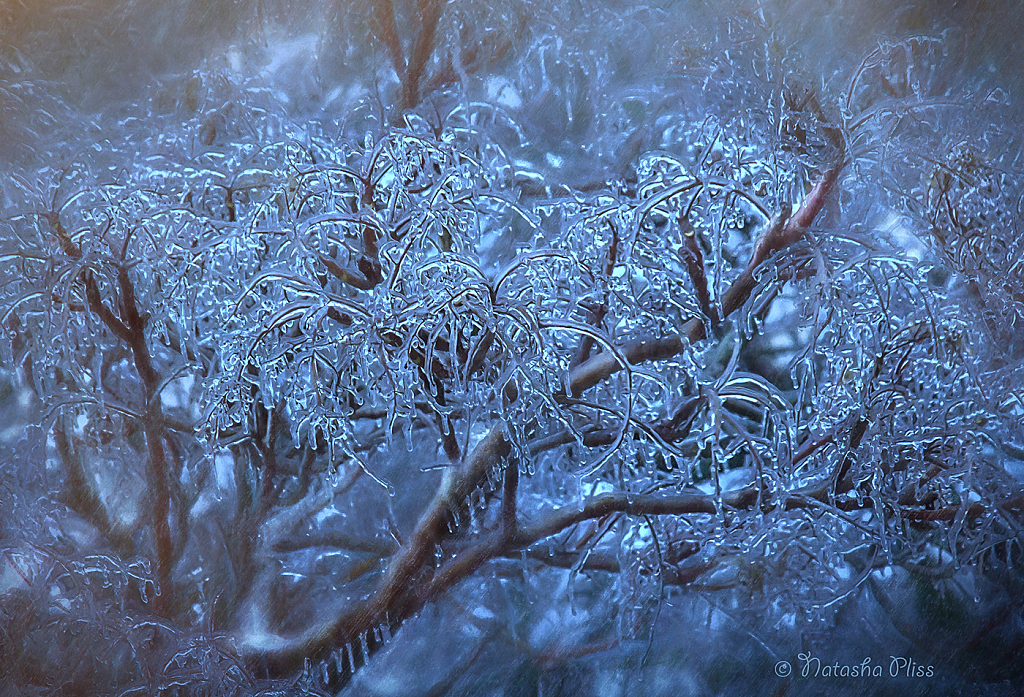 Melted snow frozen