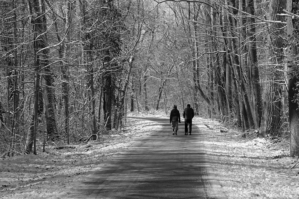Winter Walk - ID: 15881741 © Larry Lawhead
