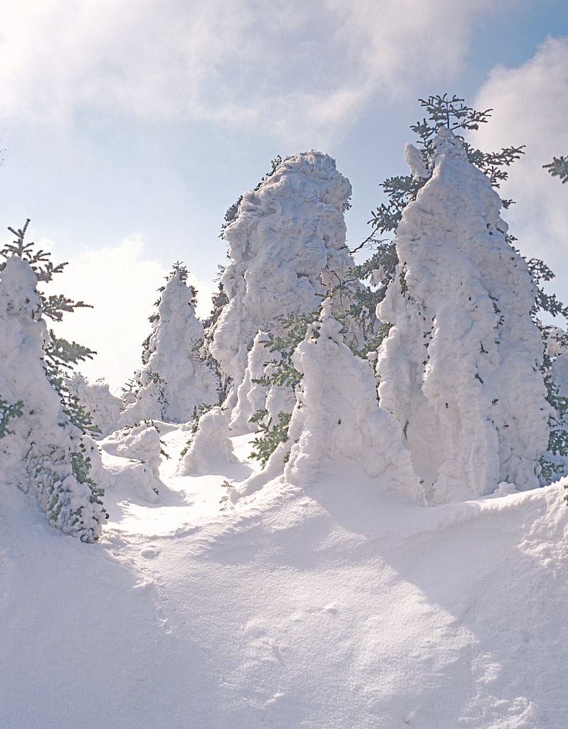 Snow Sculptures. - ID: 15881799 © Elias A. Tyligadas