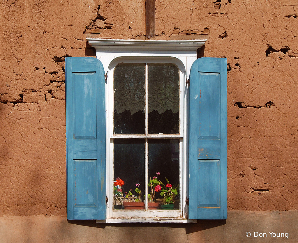 Flowers In The Window