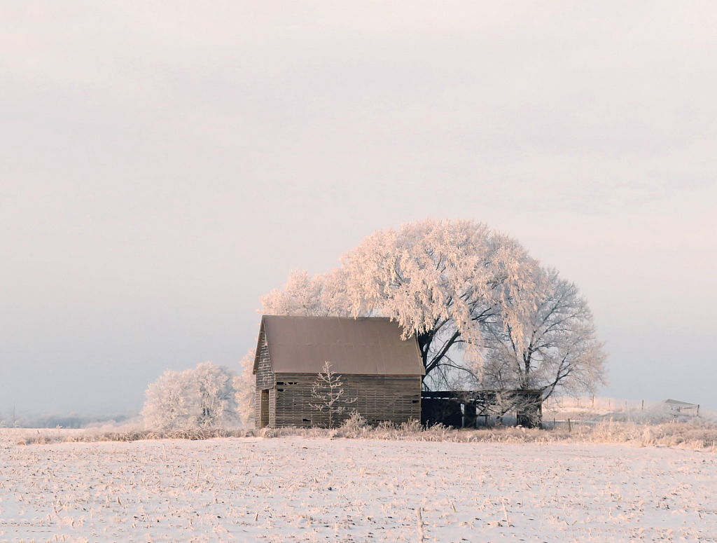 Crib In Snow And Frost 