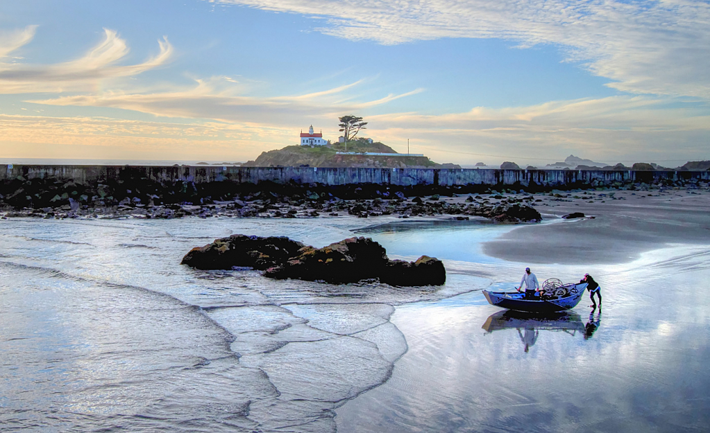 Chasing the Tide - ID: 15882336 © Sheila Faryna