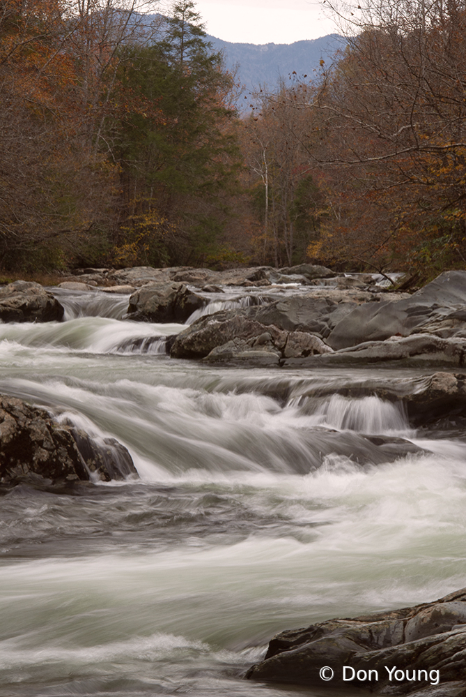 Smoky Mountain Stream