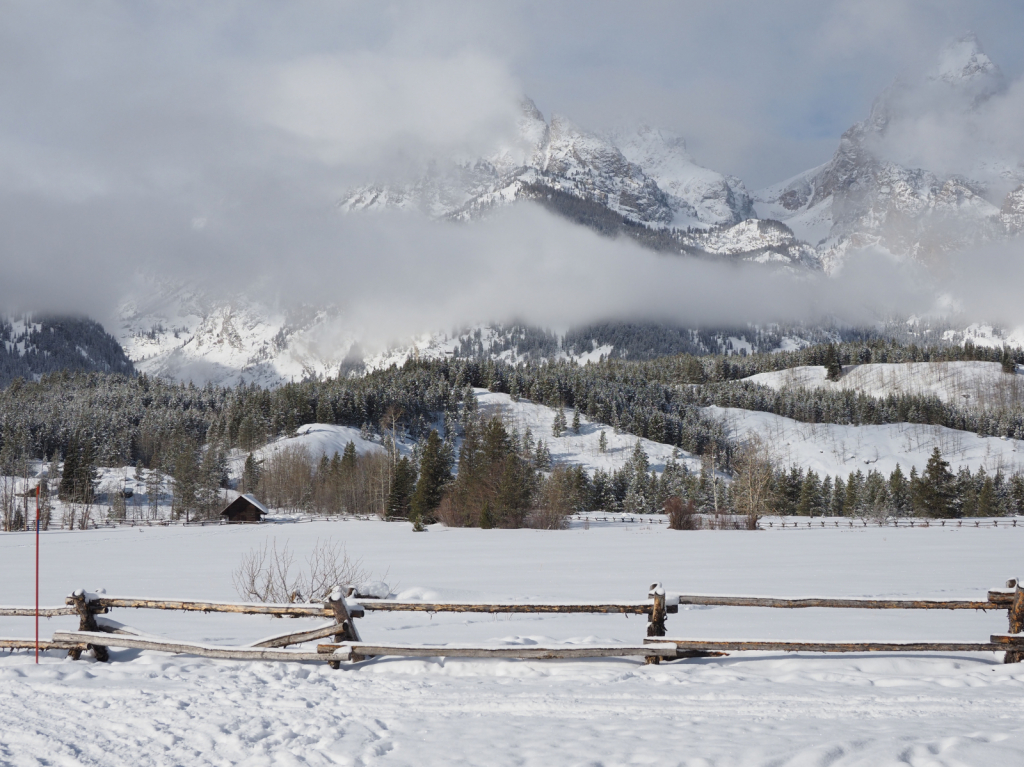 Teton Ranch 2 - ID: 15882588 © Susan G. Cohan