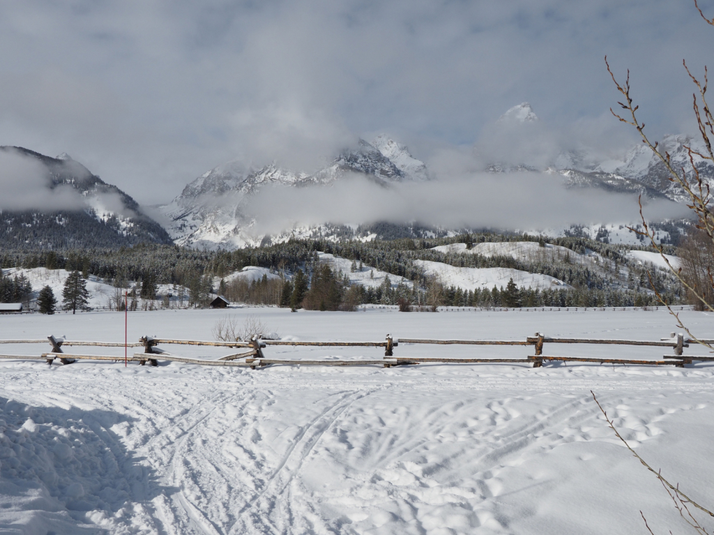 Teton Ranch - ID: 15882595 © Susan G. Cohan