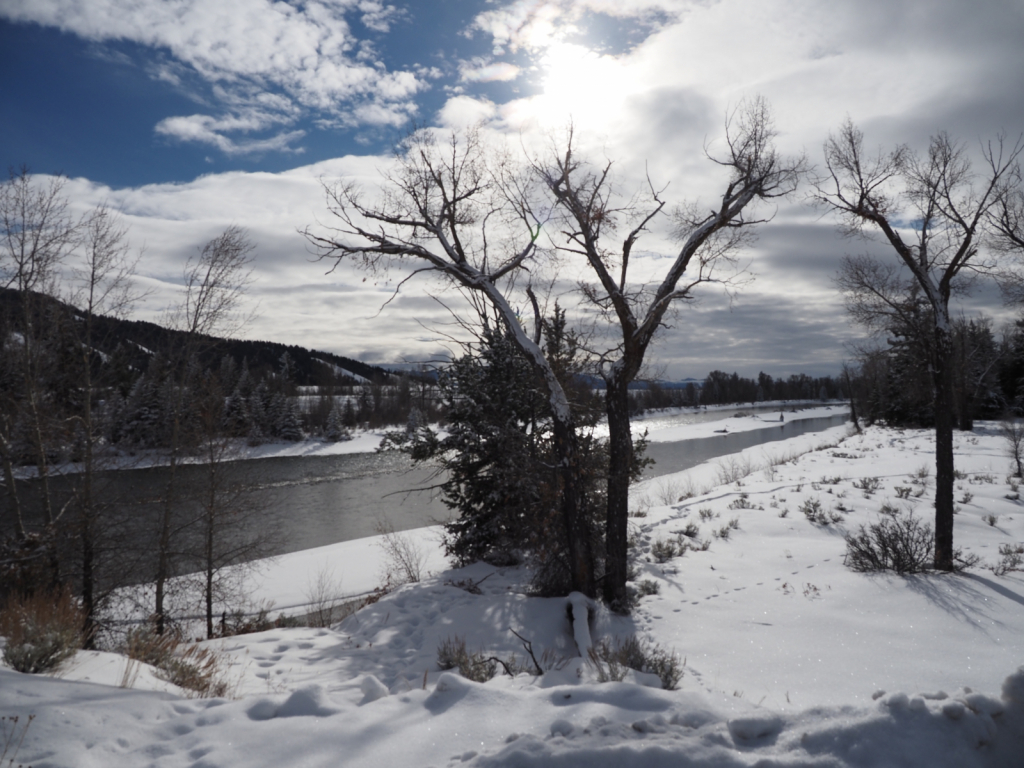 Snake River Looking South - ID: 15882599 © Susan G. Cohan