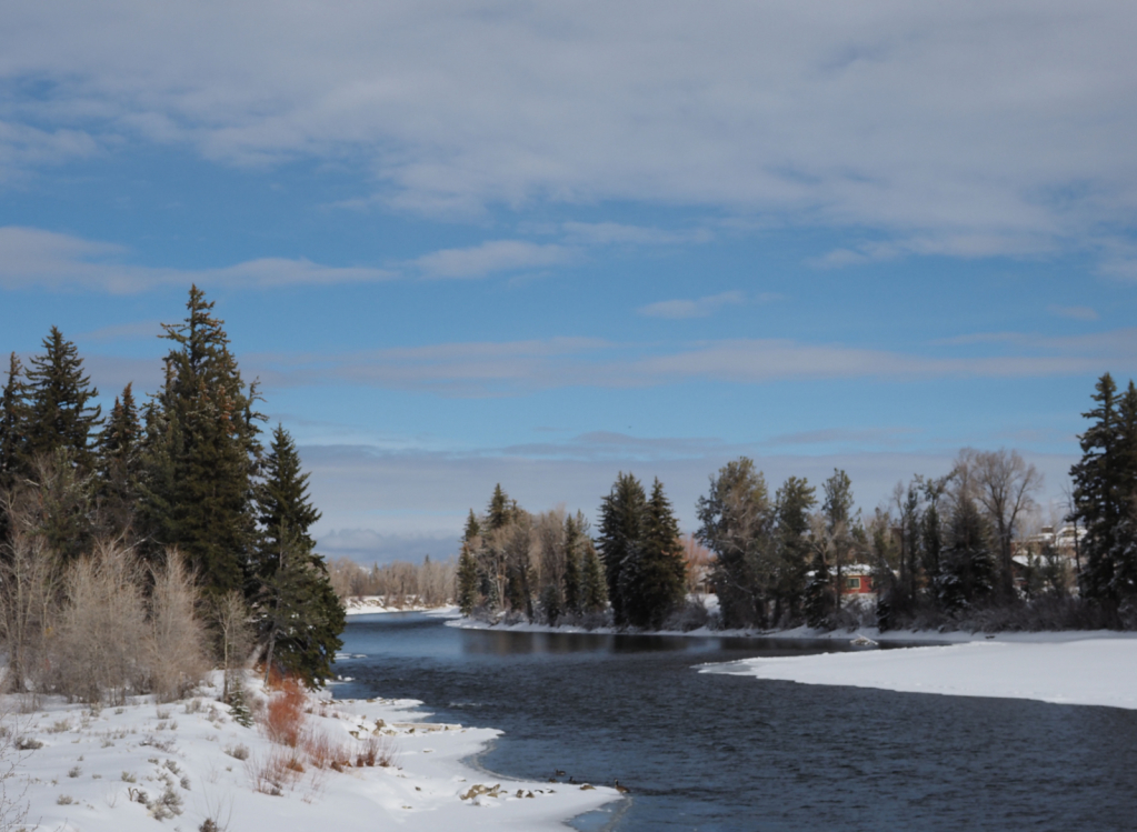 Snake River Looking North - ID: 15882600 © Susan G. Cohan