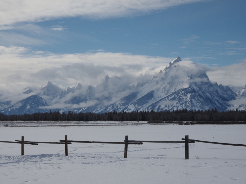 Fenced In - ID: 15882602 © Susan G. Cohan