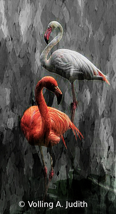 105xxxx_pe - ID: 15882632 © Volling A. Judith