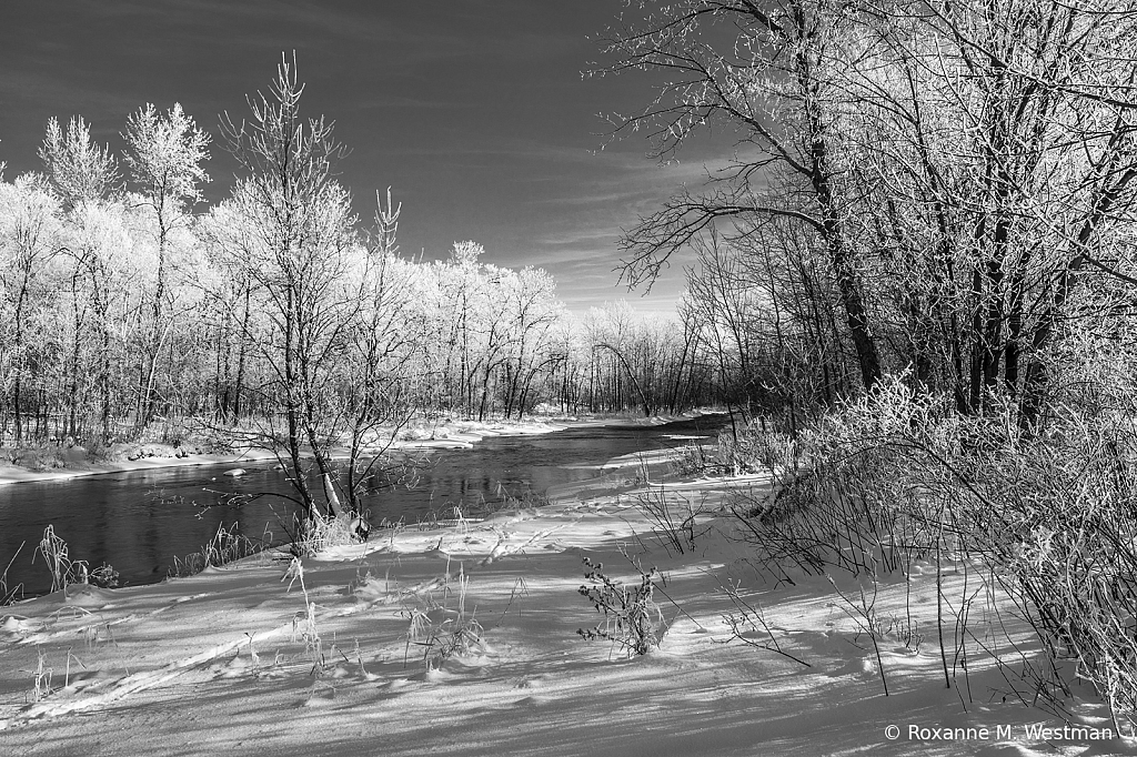 Frosty Winter trees on Minnesota river - ID: 15882662 © Roxanne M. Westman