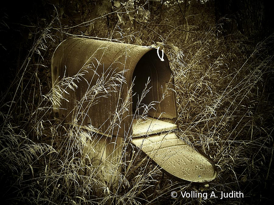 t91 - ID: 15882709 © Volling A. Judith