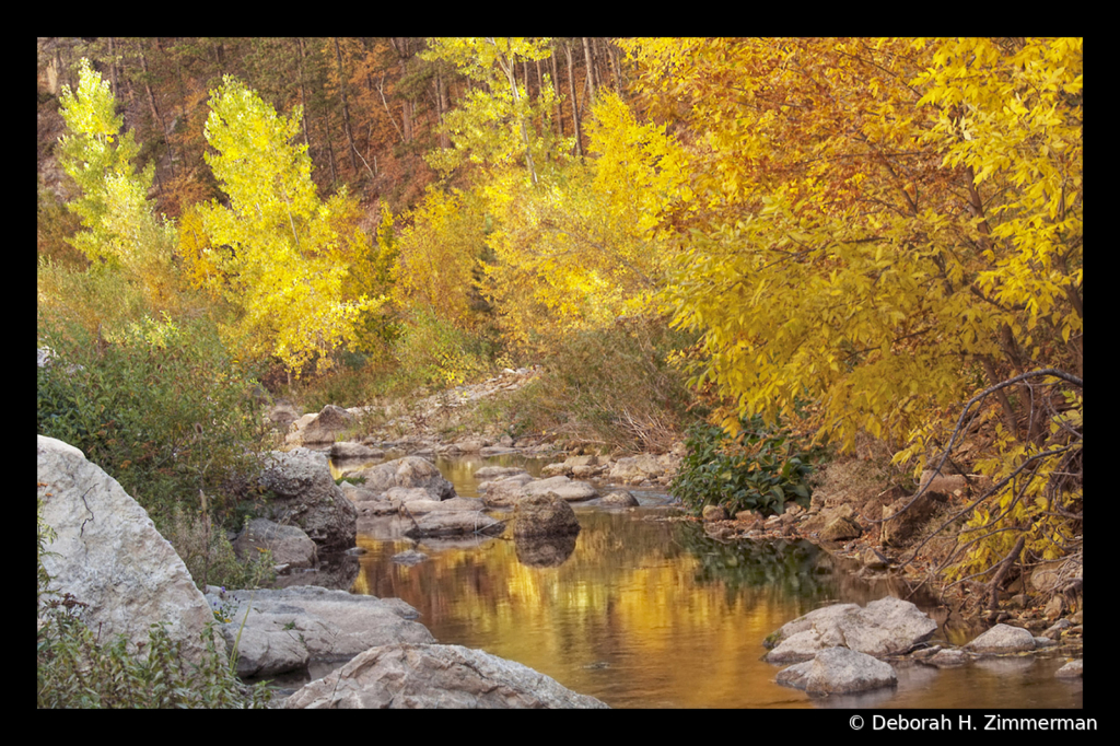 Boulder Canyon's Golden Corner - ID: 15882923 © Deb. Hayes Zimmerman