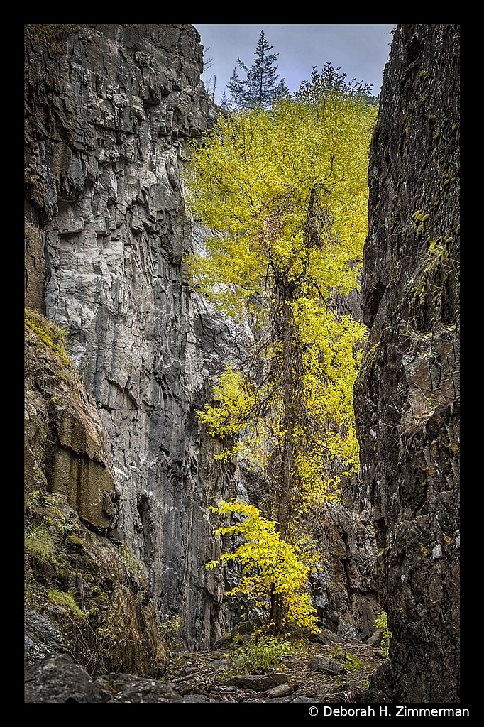 The Color at the Entrance to 11th Hour Canyon - ID: 15882852 © Deb. Hayes Zimmerman