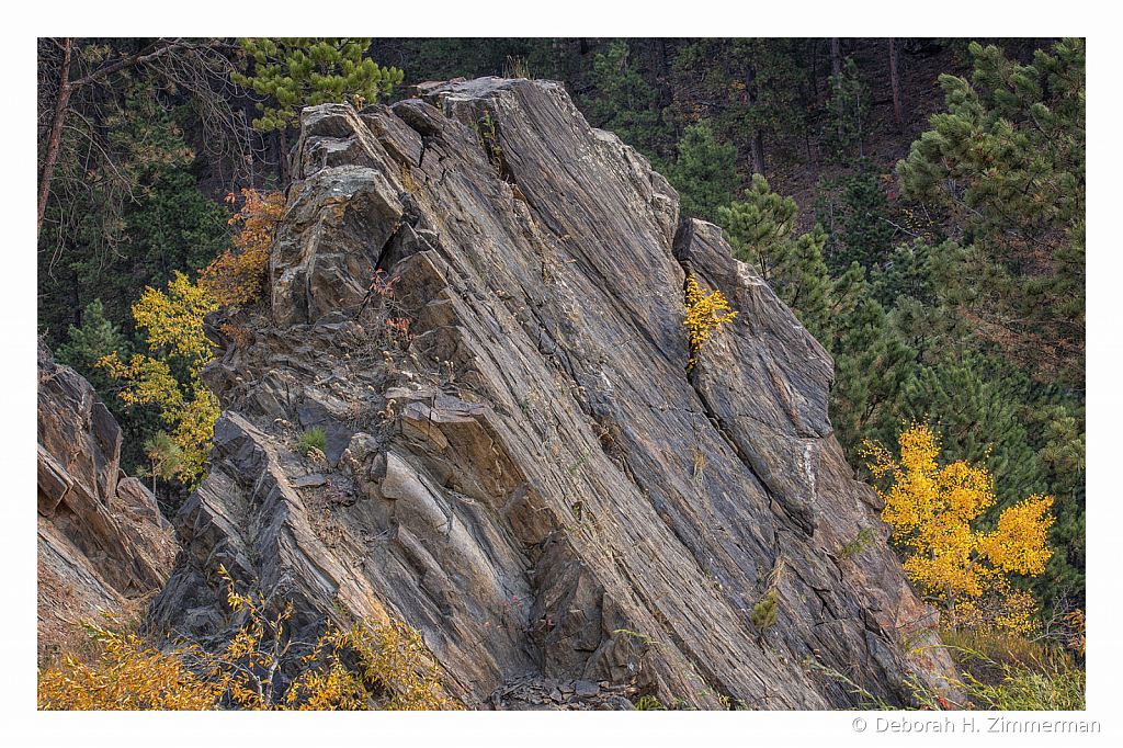 The Rock at the Edge of the Road - ID: 15882858 © Deb. Hayes Zimmerman