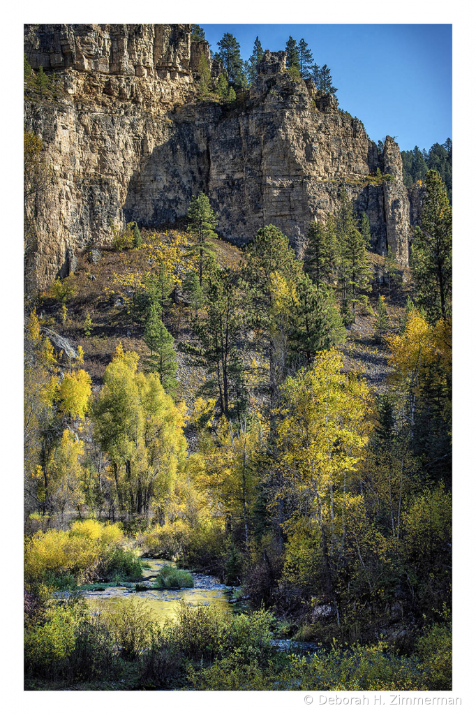 The Color in Spearfish Canyon - ID: 15882877 © Deb. Hayes Zimmerman