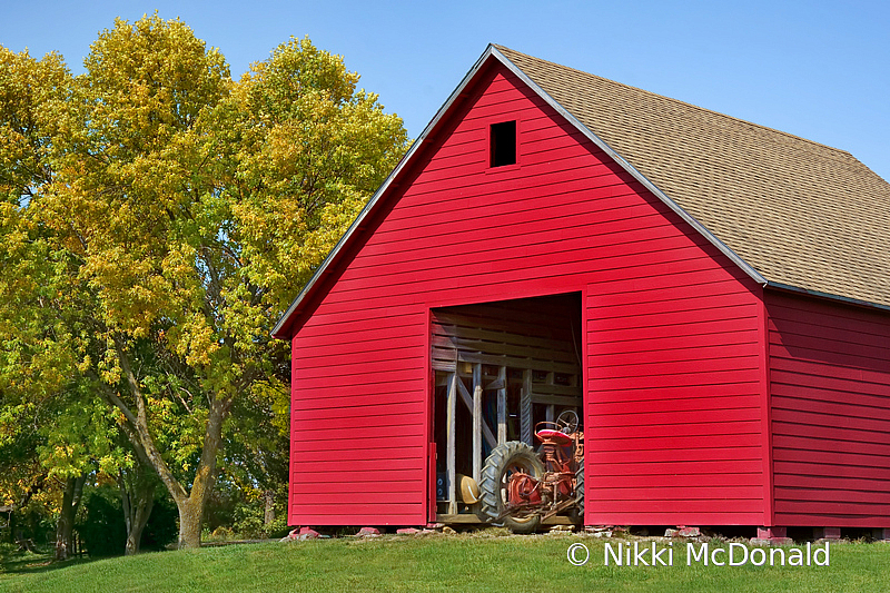 Red Barn and Autumn Tree