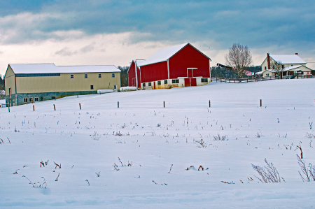 Amish Farm After the Snow Storm