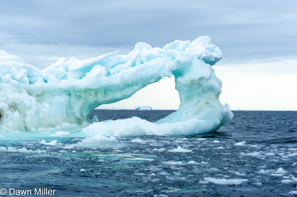Antarctica Ice - ID: 15883169 © Dawn Miller