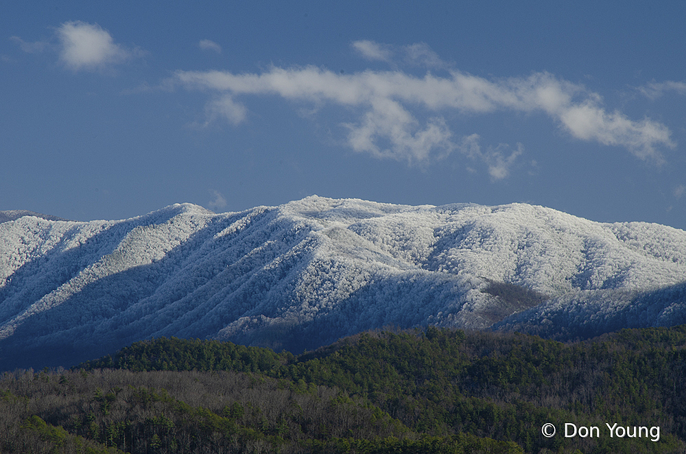 Hoarfrost On The Smoky Mountains