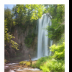 Silky Spearfish Falls in May - ID: 15883321 © Deb. Hayes Zimmerman