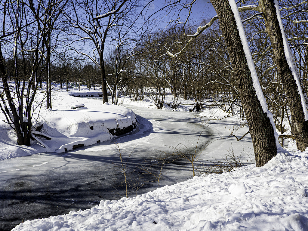 Snow Scene