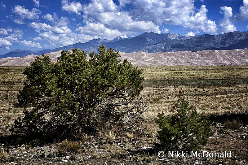 Great Sand Dunes - Sangre de Cristo Mountains