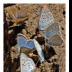 Blue Arrowhead Butterflies Mining the Mud - ID: 15883769 © Deb. Hayes Zimmerman