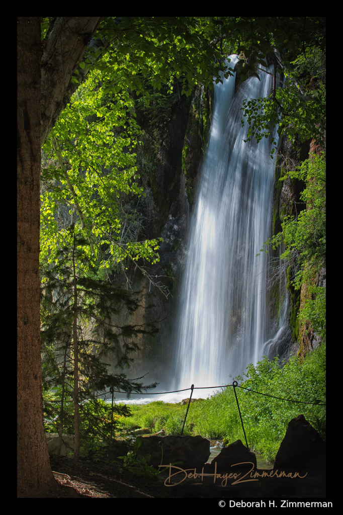 Lil Spearfish Falls Emerging from the Trees