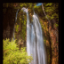 Spring's Popping up at Lil Spearfish Falls - ID: 15883839 © Deb. Hayes Zimmerman