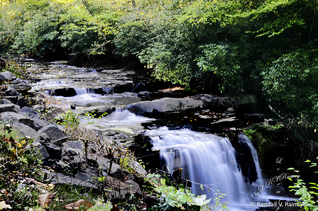 Watery Stepping Stones...