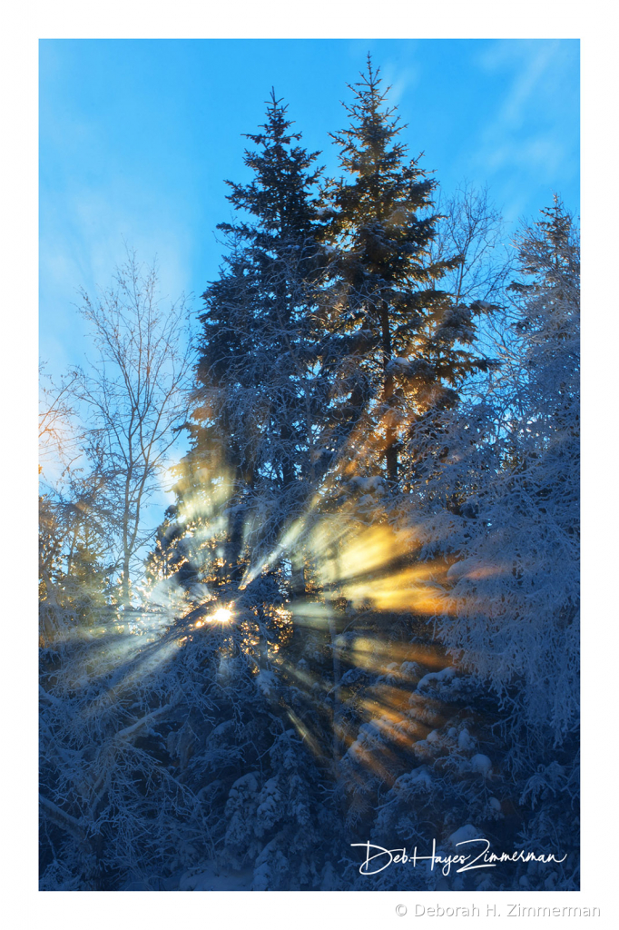Rays of Light Above Lil Spearfish Falls - ID: 15884036 © Deb. Hayes Zimmerman