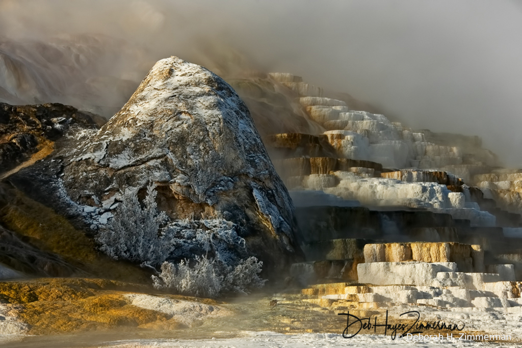 Mammoth Springs in Frost and Fog - ID: 15884465 © Deb. Hayes Zimmerman
