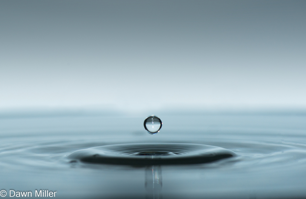 water drop - ID: 15884578 © Dawn Miller