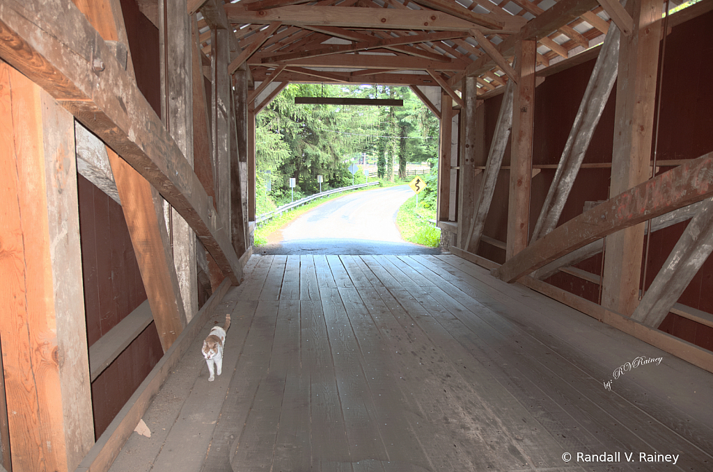 Another Covered Bridge Just Passing Thru...