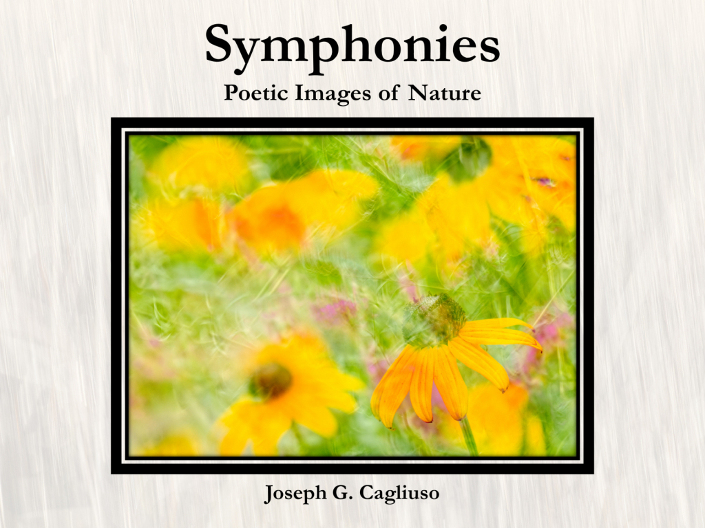 Symphonies - ID: 15884783 © Joseph Cagliuso