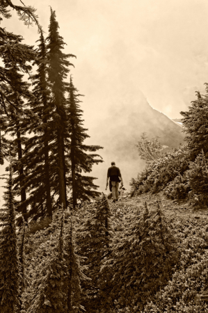 Mt Baker Wilderness