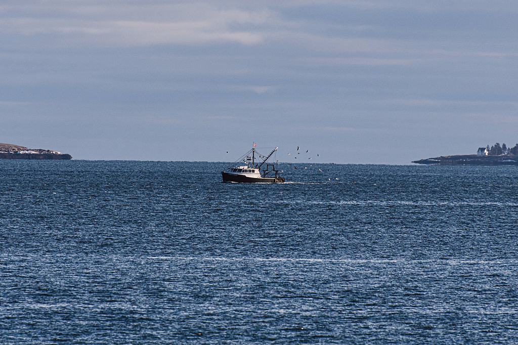 Acadia National Park- Along the Sea Wall!! 1